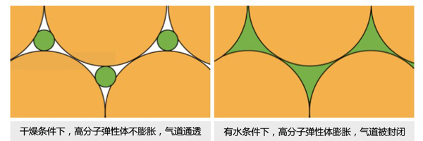 濾芯