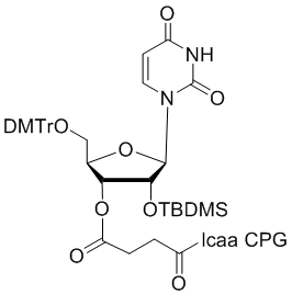 structure_N-6104-20 2'-tBDSilyl Uridine 3'-lcaa CPG 2000?