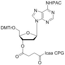 deoxy Adenosine (n-PAC) 3'-lcaa CPG 2000?