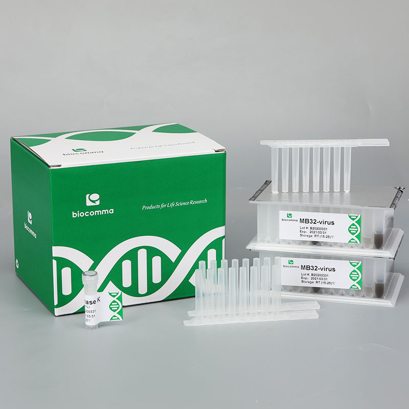 唾液基因組 DNA 提取試劑盒 唾液基因組 DNA 提取試劑盒(預分裝磁珠法)